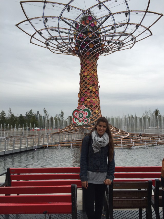 Albero