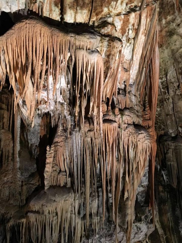 Postojna caves
