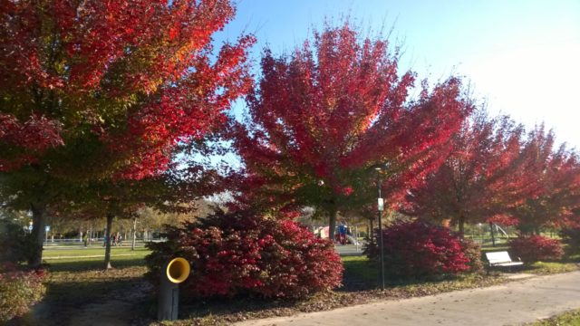 img-20161022-wa0005