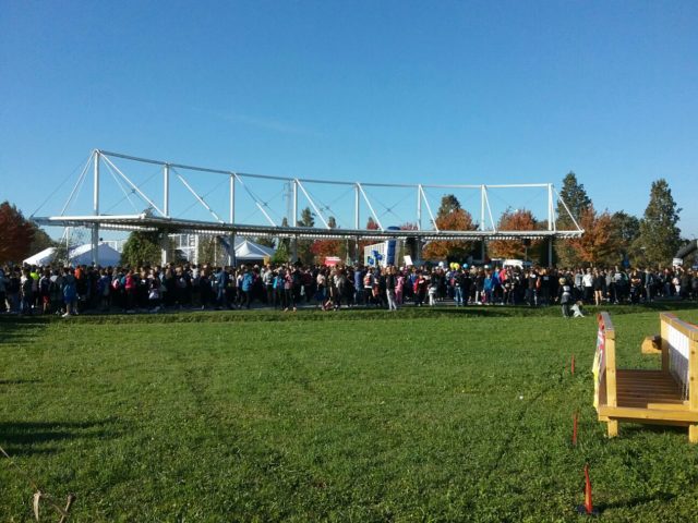 img-20161110-wa0021