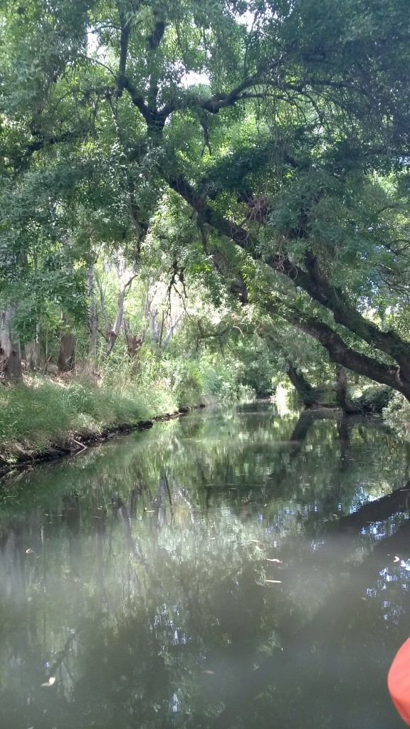 Il corso del fiume Ciane - Siracusa
