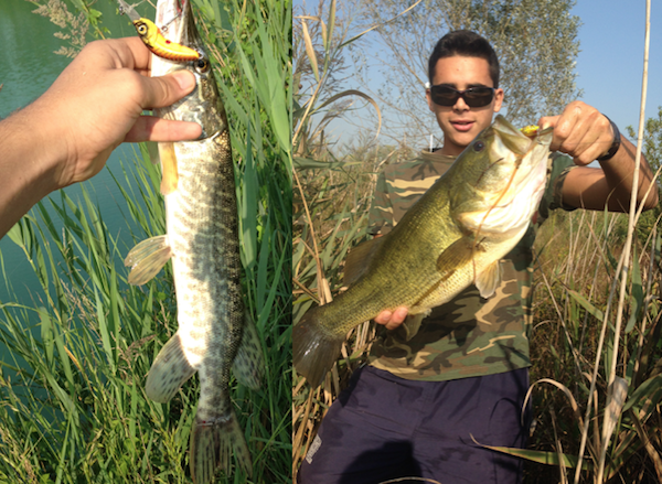 pesca