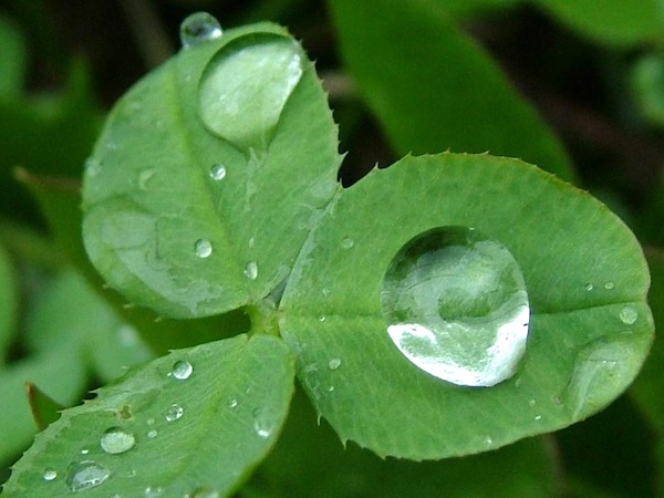Pioggia